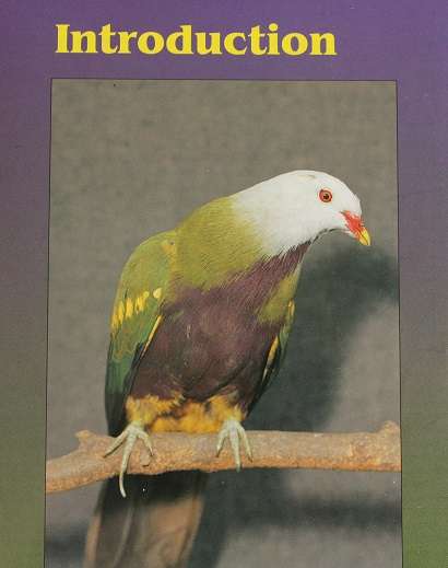 A guide to Pigeons, Doves & Quail by Danny Brown. Their management, care & breeding.