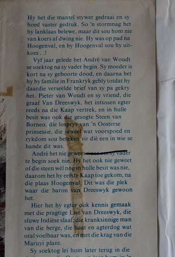 Au Revoir Mademoiselle ! deur Elmar Steyn