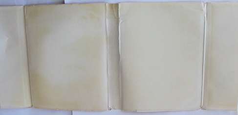 The road to El Dorado by J.T. McNish