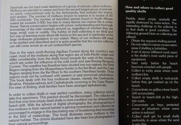 Field guide to South African Seashells Cape Region by Alwyn P. Marais