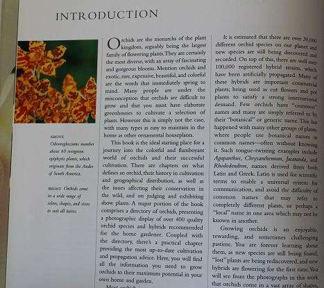 Orchids by David P. Banks