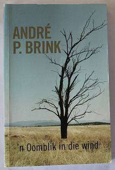 `n Oomblik in die wind deur André P. Brink