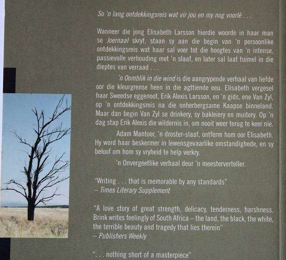 `n Oomblik in die wind deur André P. Brink