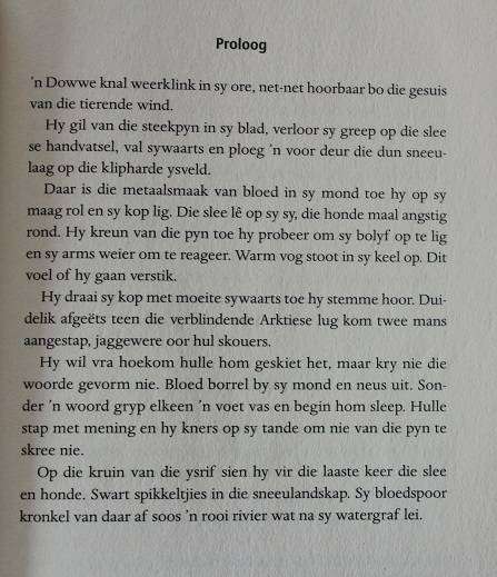 Ys deur Rudie van Rensburg. Geteken