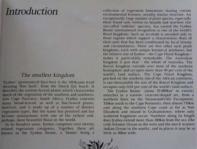 A Fynbos Year- text by Michael Fraser illustrated by Liz McMahon