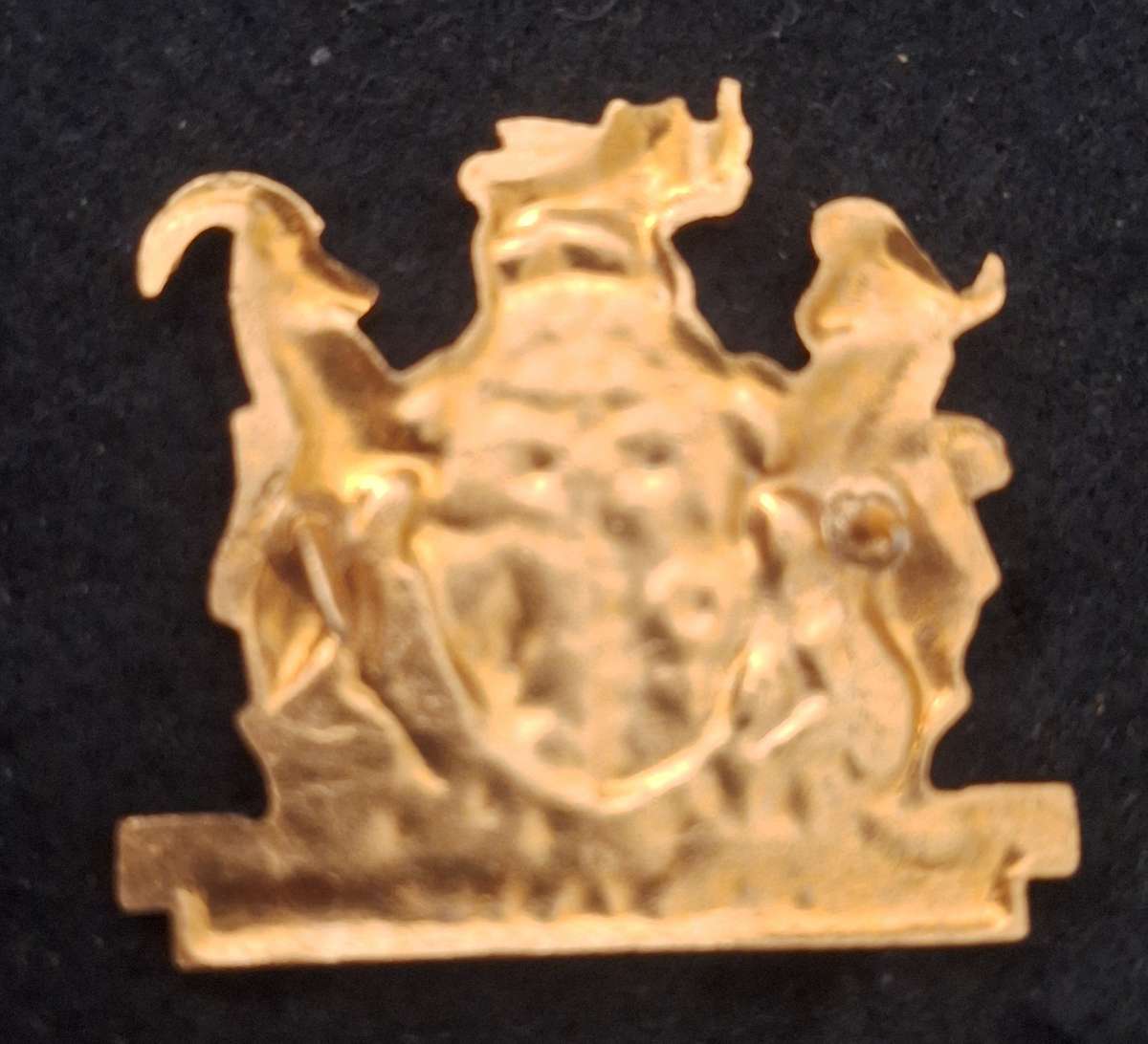 GAZANKULU POLICE WO RANK BADGE (SINGLE) - PINS INTACT