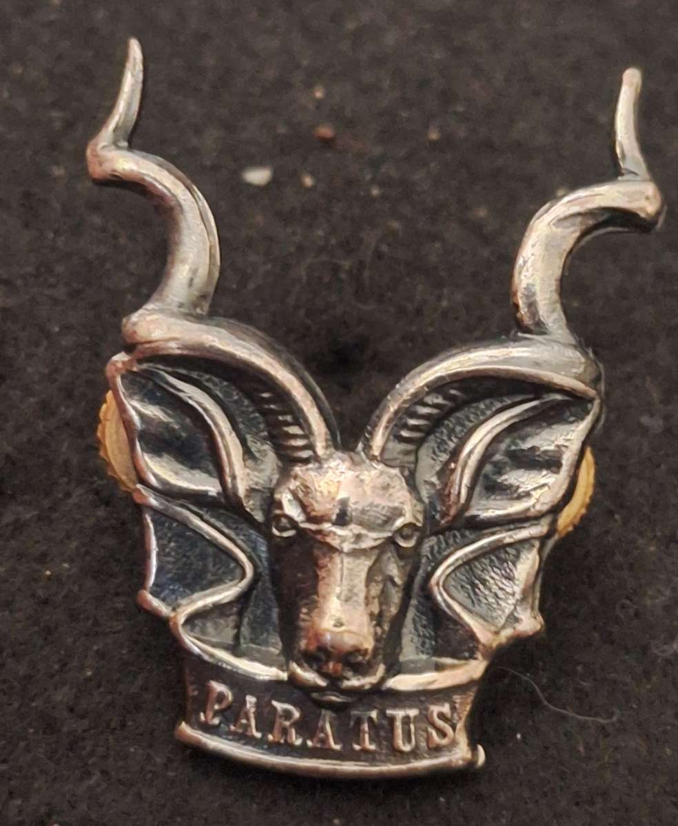 SWATF - AREA FORCE CAP BADGE - SCREWS INTACT