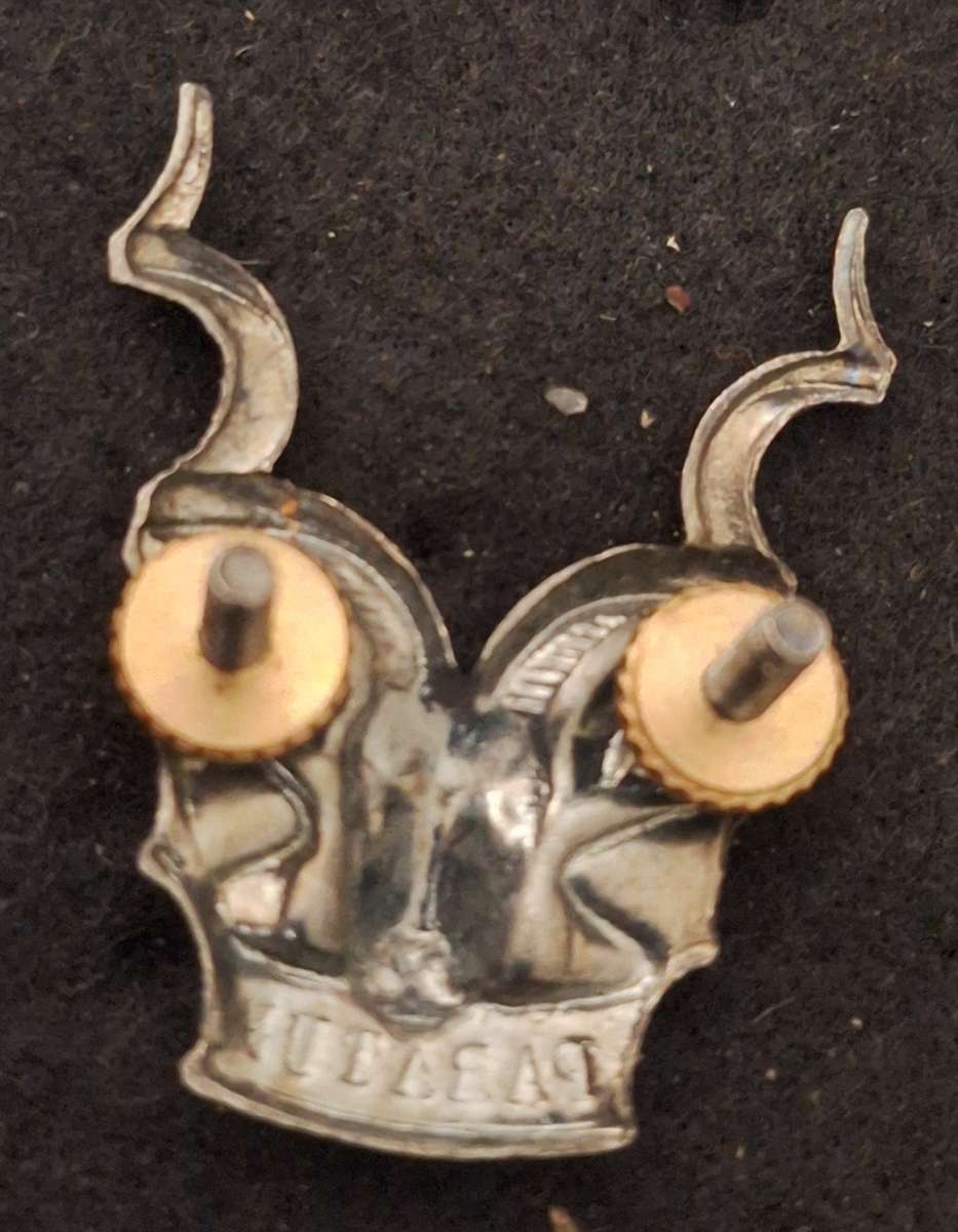 SWATF - AREA FORCE CAP BADGE - SCREWS INTACT