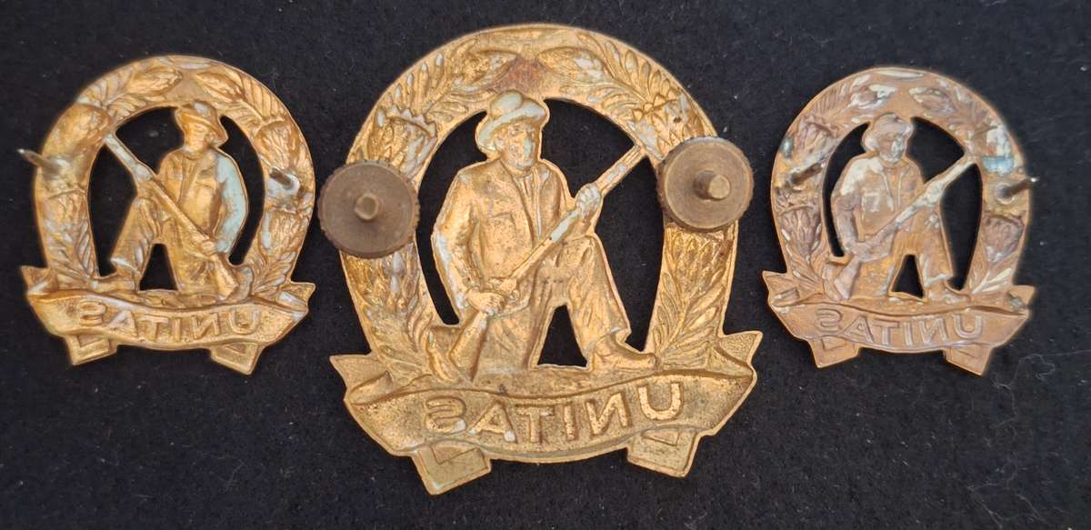 SADF GILDING COMMANDO UNIT CAP AND COLLAR BADGES SET - SCREWS / pins intact