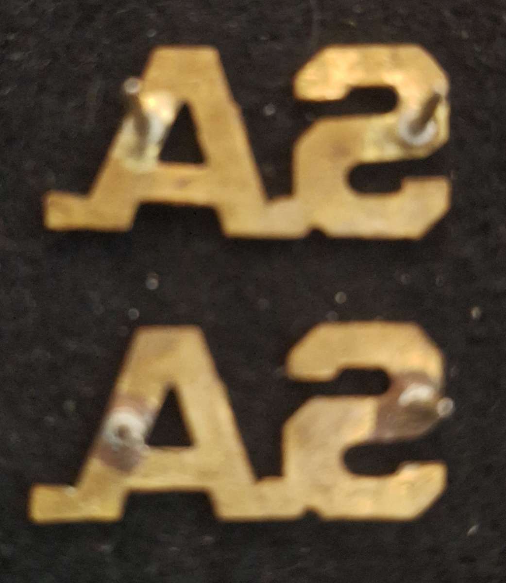 SADF - SA TITLE BADGES PAIR - PINS INTACT