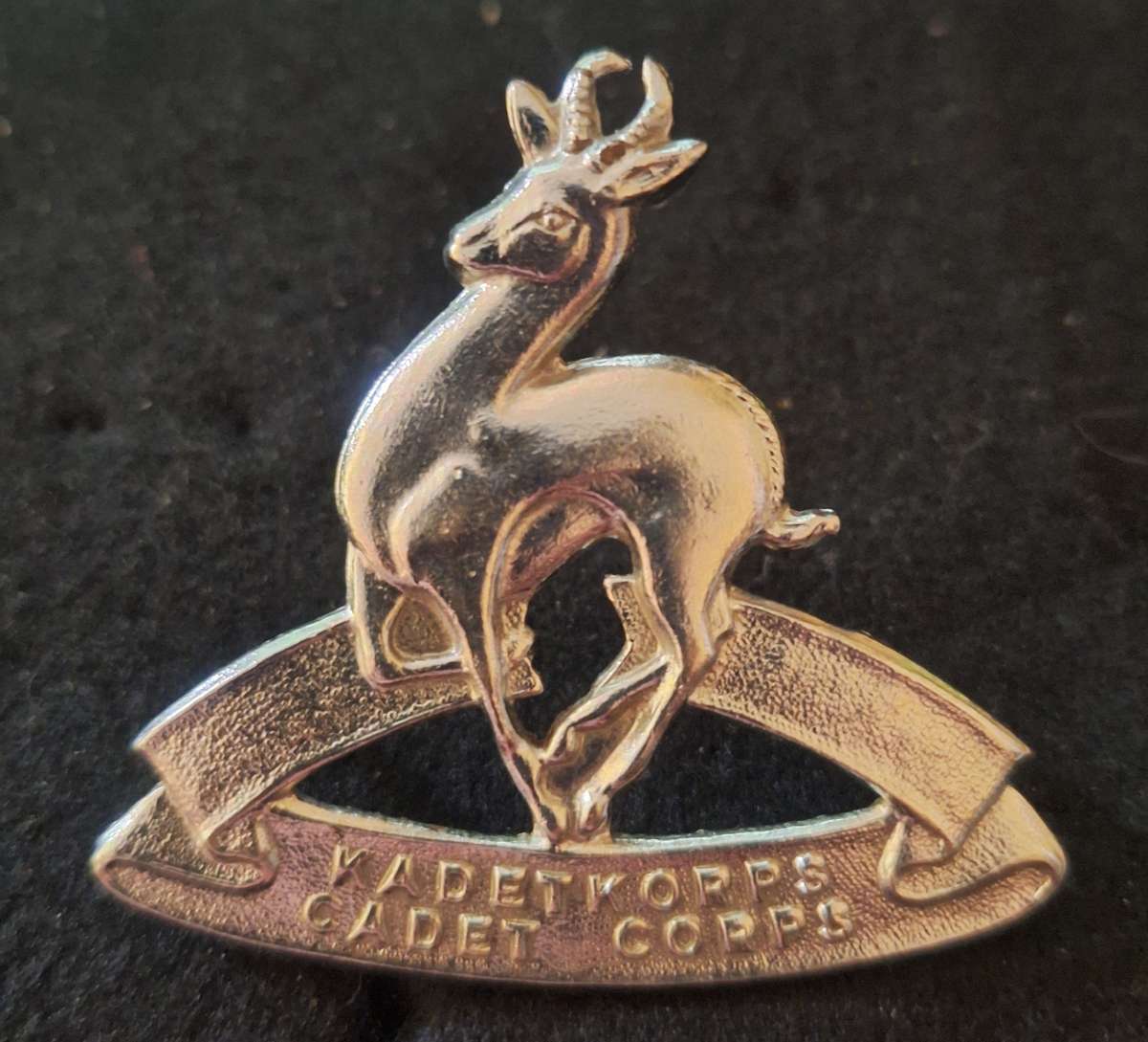SADF - CADET CORPS CAP BADGE (LARGE TYPE) - SCREWS INTACT