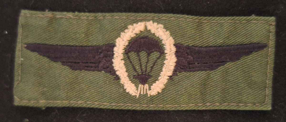 GERMANY - MASTER PARA WING - FIELD DRESS