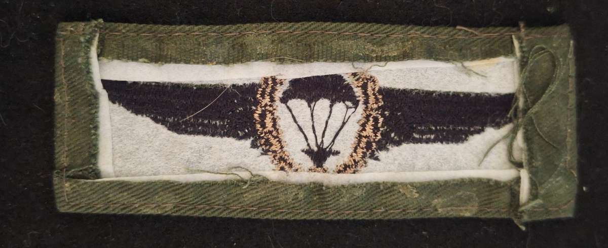 GERMANY - MASTER PARA WING - FIELD DRESS