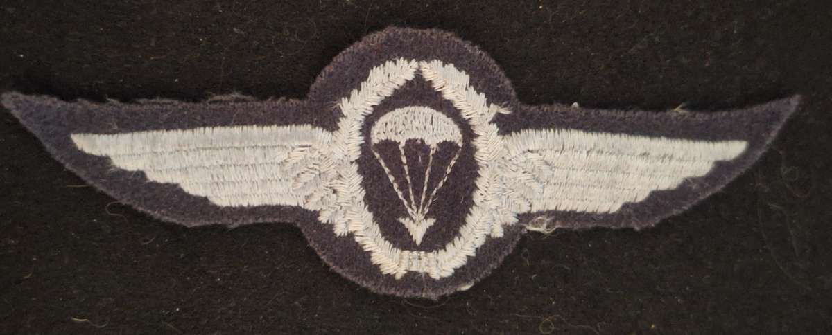 GERMANY - BASIC PARA WING