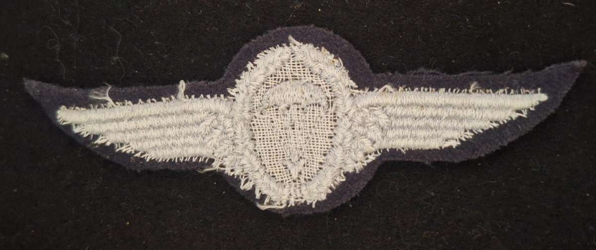 GERMANY - BASIC PARA WING