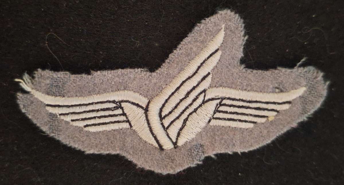 WEST GERMANY - 1958-66 BASIC PARA WING - ARMY