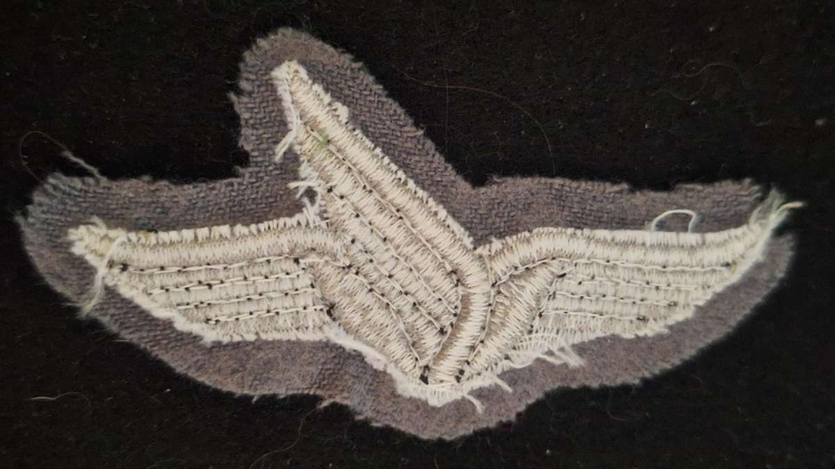 WEST GERMANY - 1958-66 BASIC PARA WING - ARMY