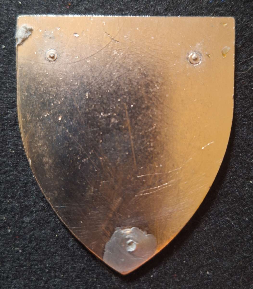 SADF - 2 SIGNAL REGT SHOULDER FLASH  - $$$ NO PINS $$$ - AGE YELLOWING