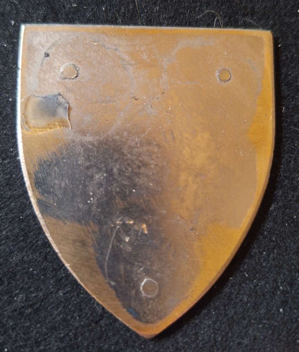 SADF - 16 S&T DEPOT SHOULDER FLASH  - $$$ NO PINS $$$