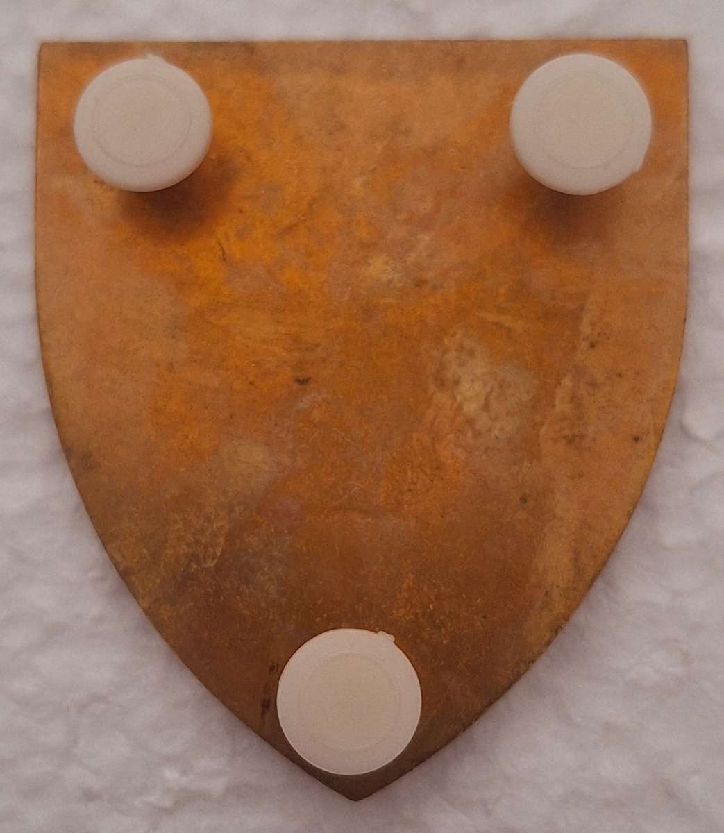 SADF - GENERAL SUPPORT BASE LIMPOPO SHOULDER FLASH  - ALL PINS INTACT