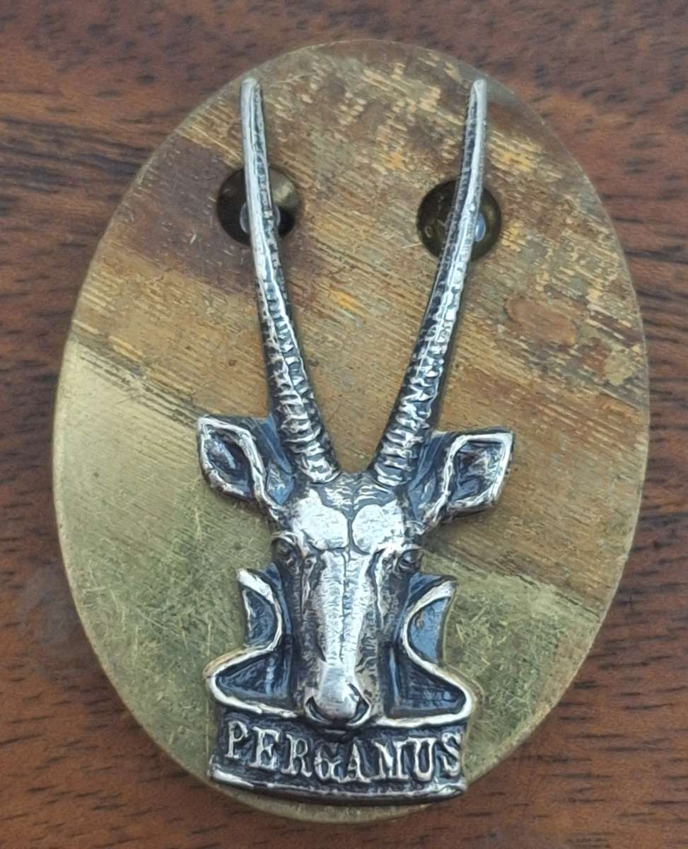 SWATF (SMALLER SIZE) HQ BERET BADGE - PINS / SCREW  INTACT