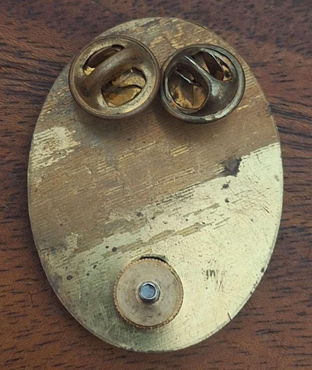 SWATF (SMALLER SIZE) HQ BERET BADGE - PINS / SCREW  INTACT