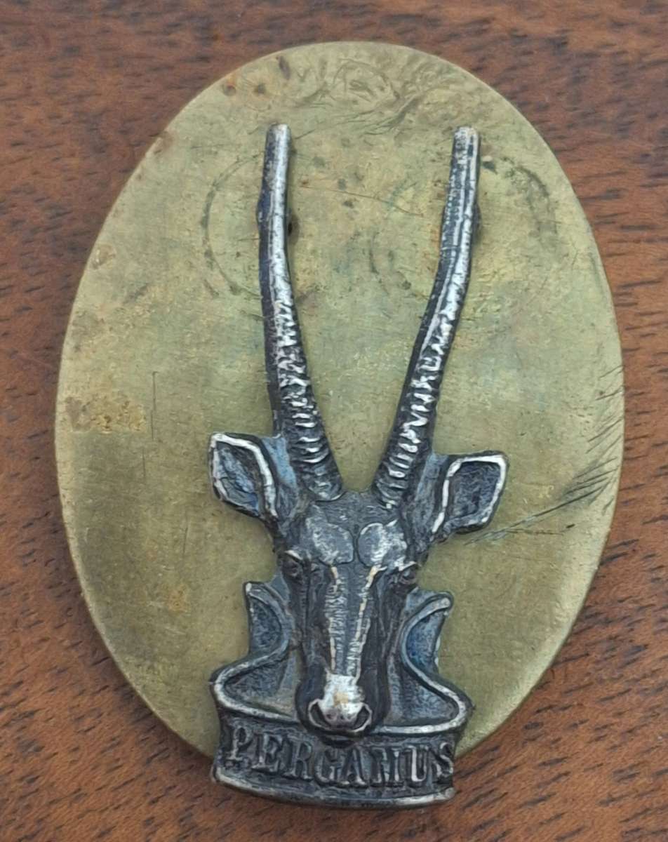 SWATF (SMALLER SIZE) HQ BERET BADGE - PINS / SCREW  INTACT