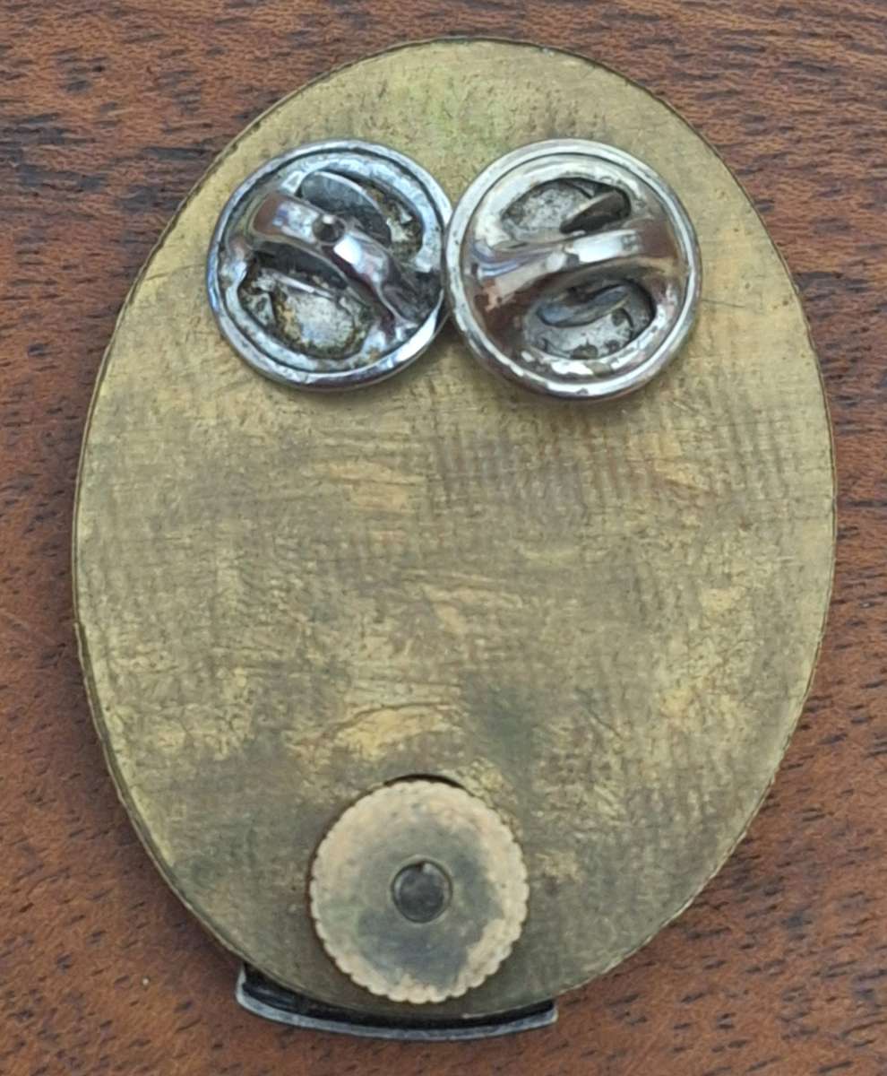 SWATF (SMALLER SIZE) HQ BERET BADGE - PINS / SCREW  INTACT