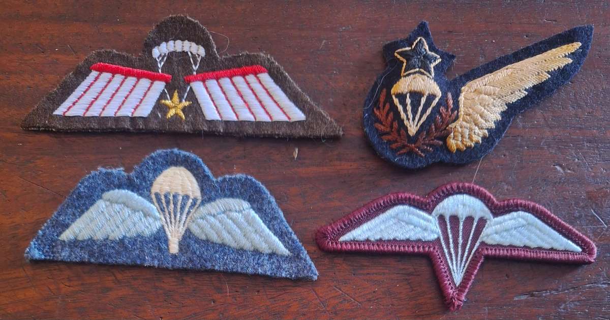 LOT OF 4 X WORLD PARA WINGS #2