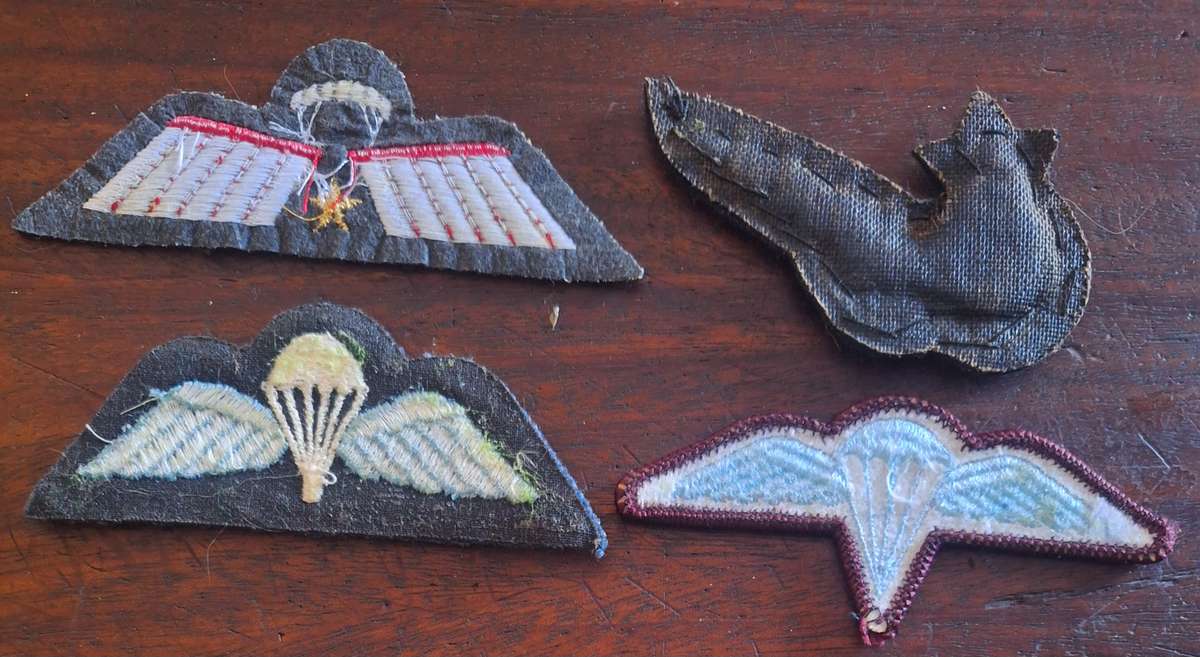 LOT OF 4 X WORLD PARA WINGS #2