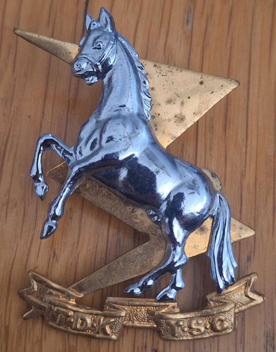 SADF - TSC / TDK CAP / BUCKLE BADGE (LARGE TYPE) - SCREWS INTACT