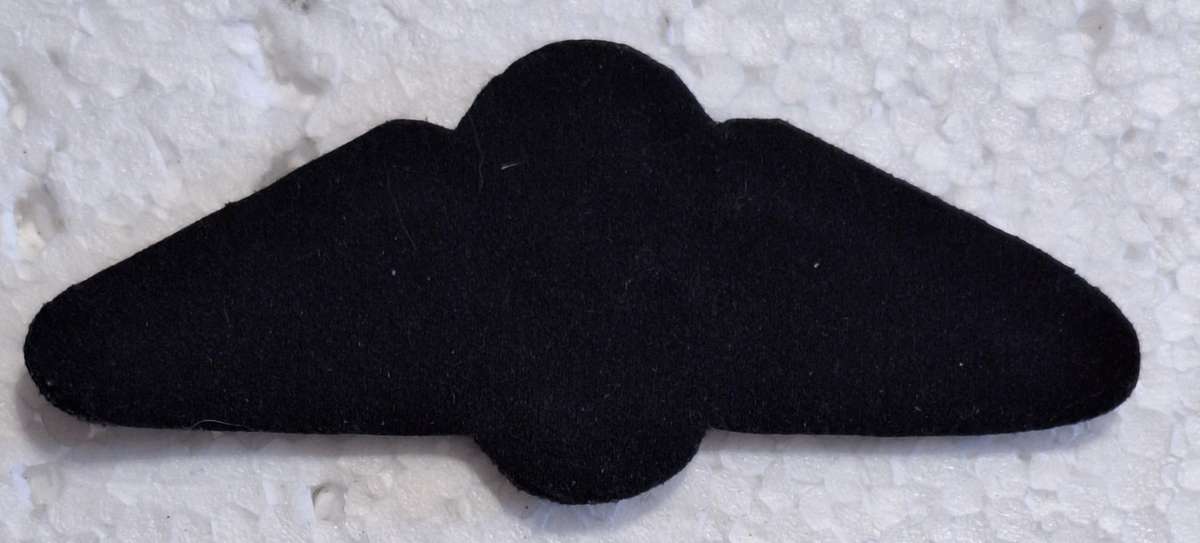 SAAF - EMBROIDERED PILOT WING