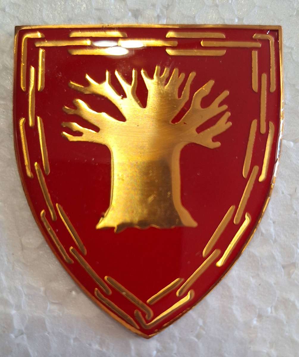 SADF / SANDF -GENERAL SUPPORT BASE LIMPOPO SHOULDER FLASH - PINS INTACT