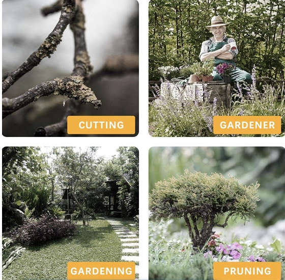 12V Cordless Handheld Chainsaw kit