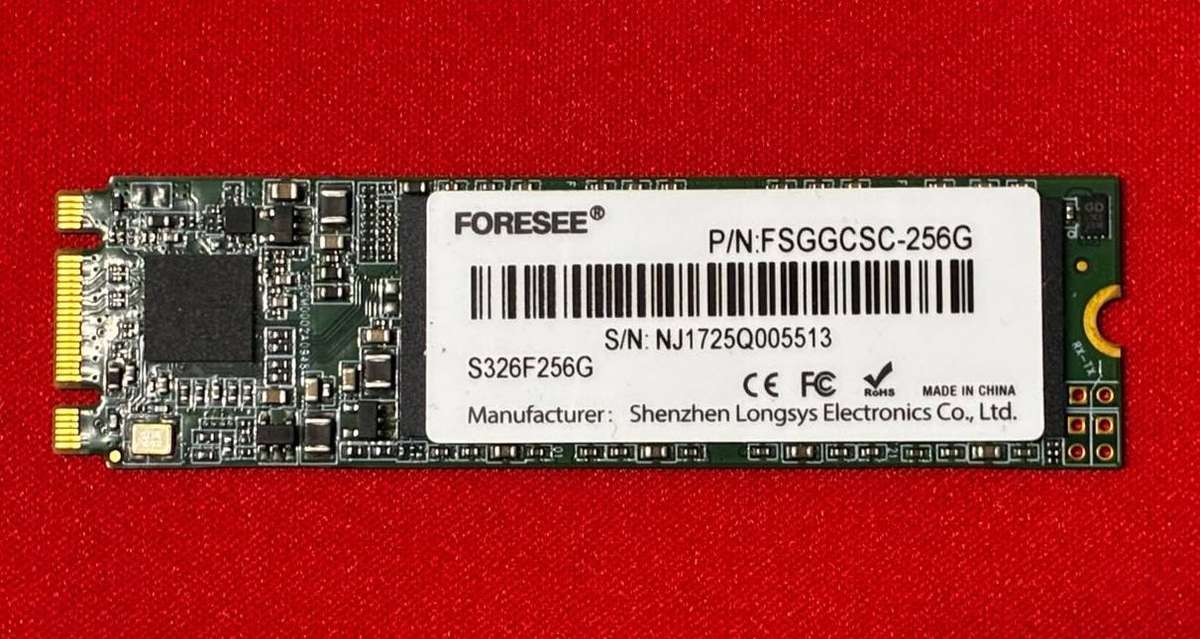 FORESEE 256GB M.2 2280 SATA SSD *ONLY 87 DAYS ON TIME*