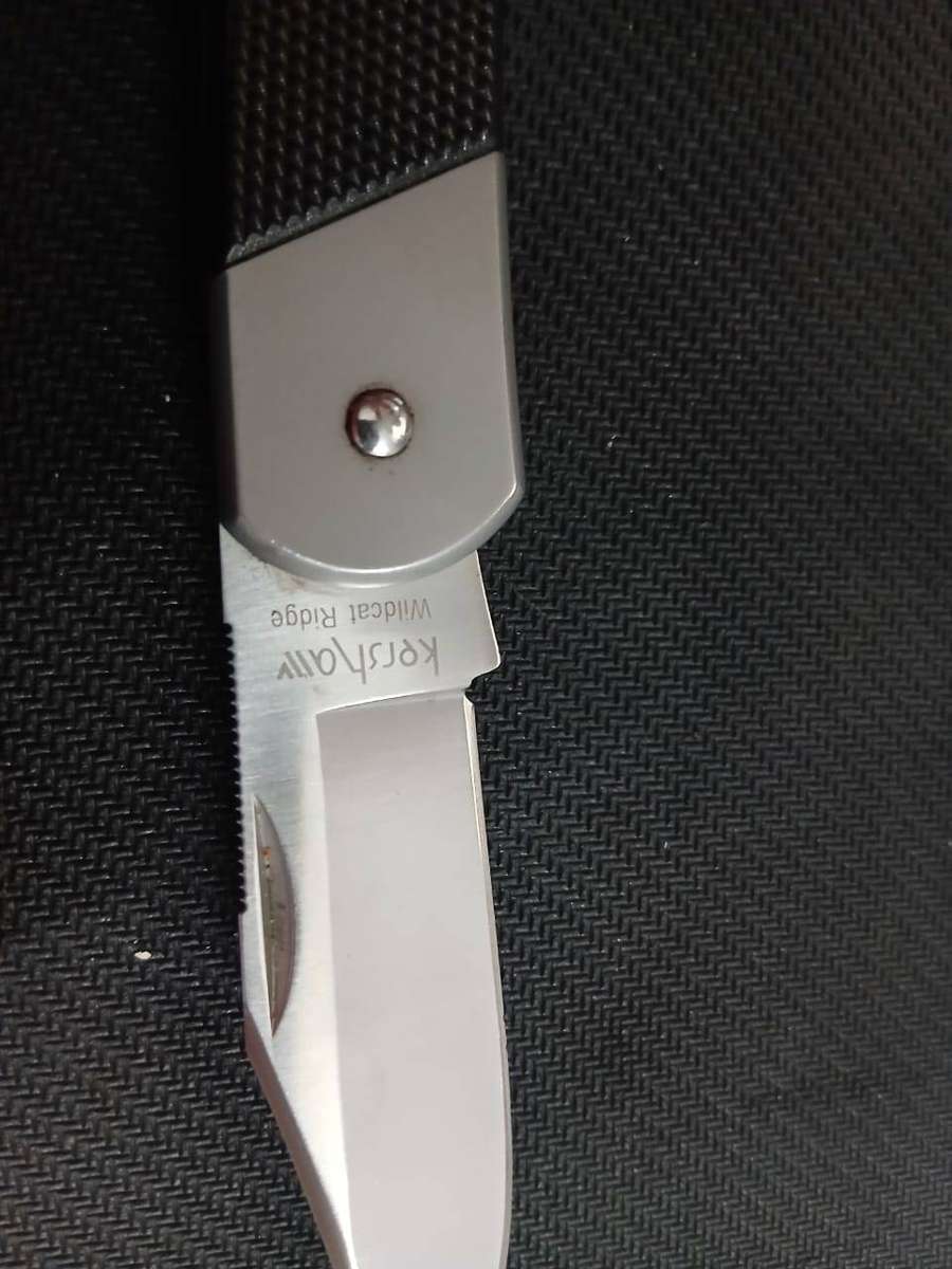 Kershaw Wildcat Ridge folder