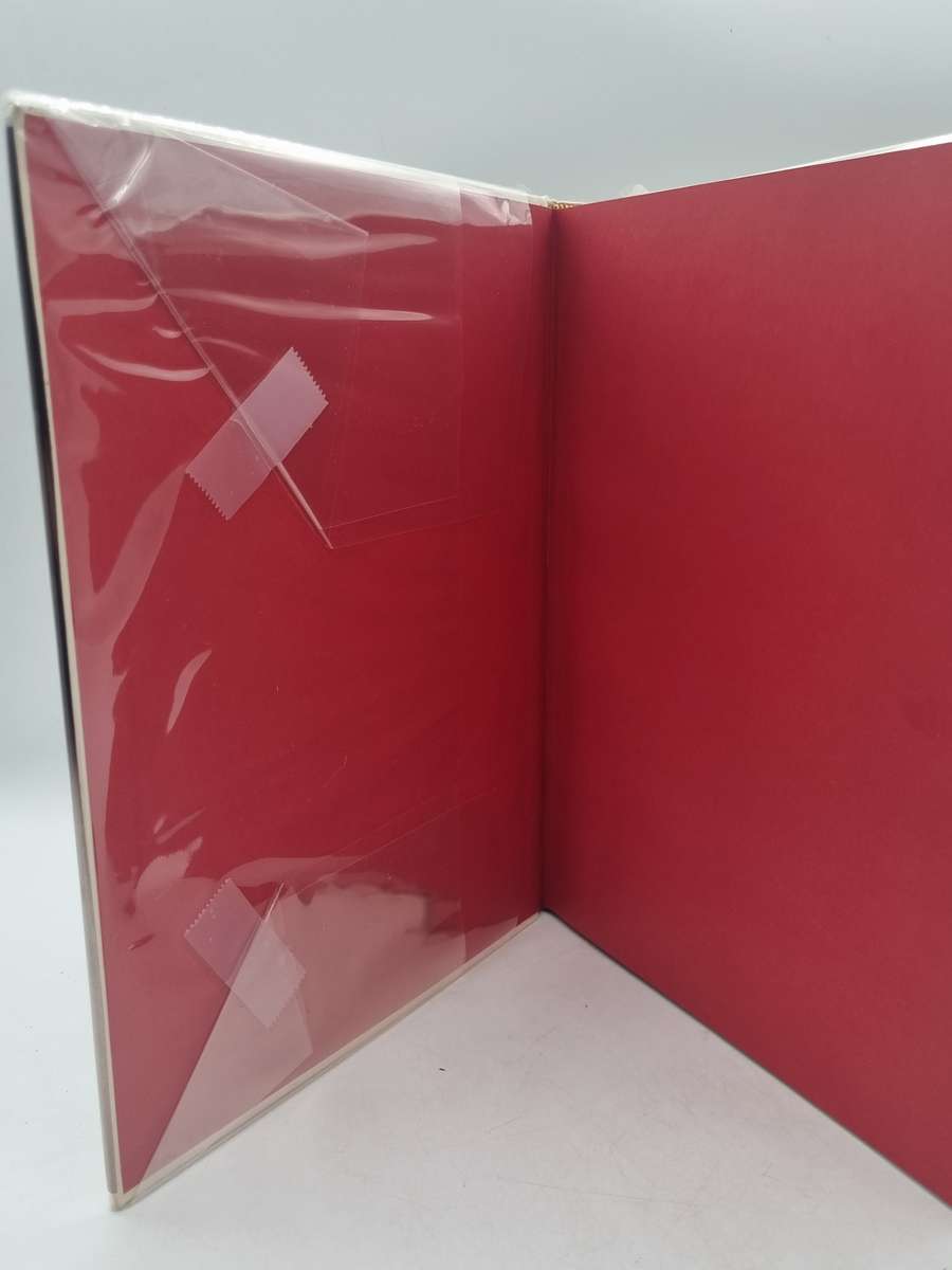 Magic of Reality: How We Know What's Really True Richard Dawkins | Illustrated by McKean