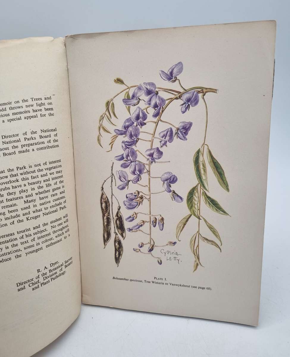 Trees and Shrubs of the Kruger National Park ~ LEW Codd