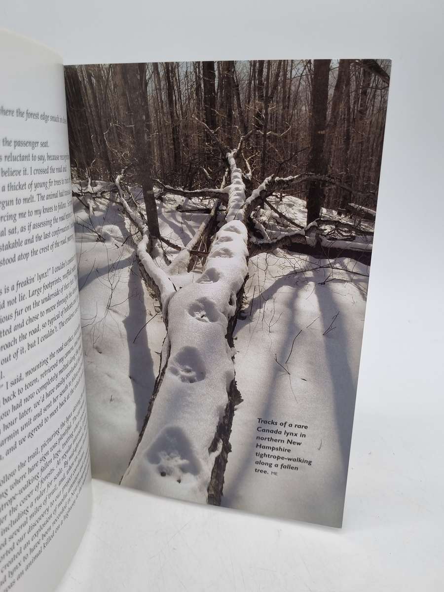 Practical Tracking : A Guide to Following Footprints and Finding Animals Liebenberg, Louis, Louw,