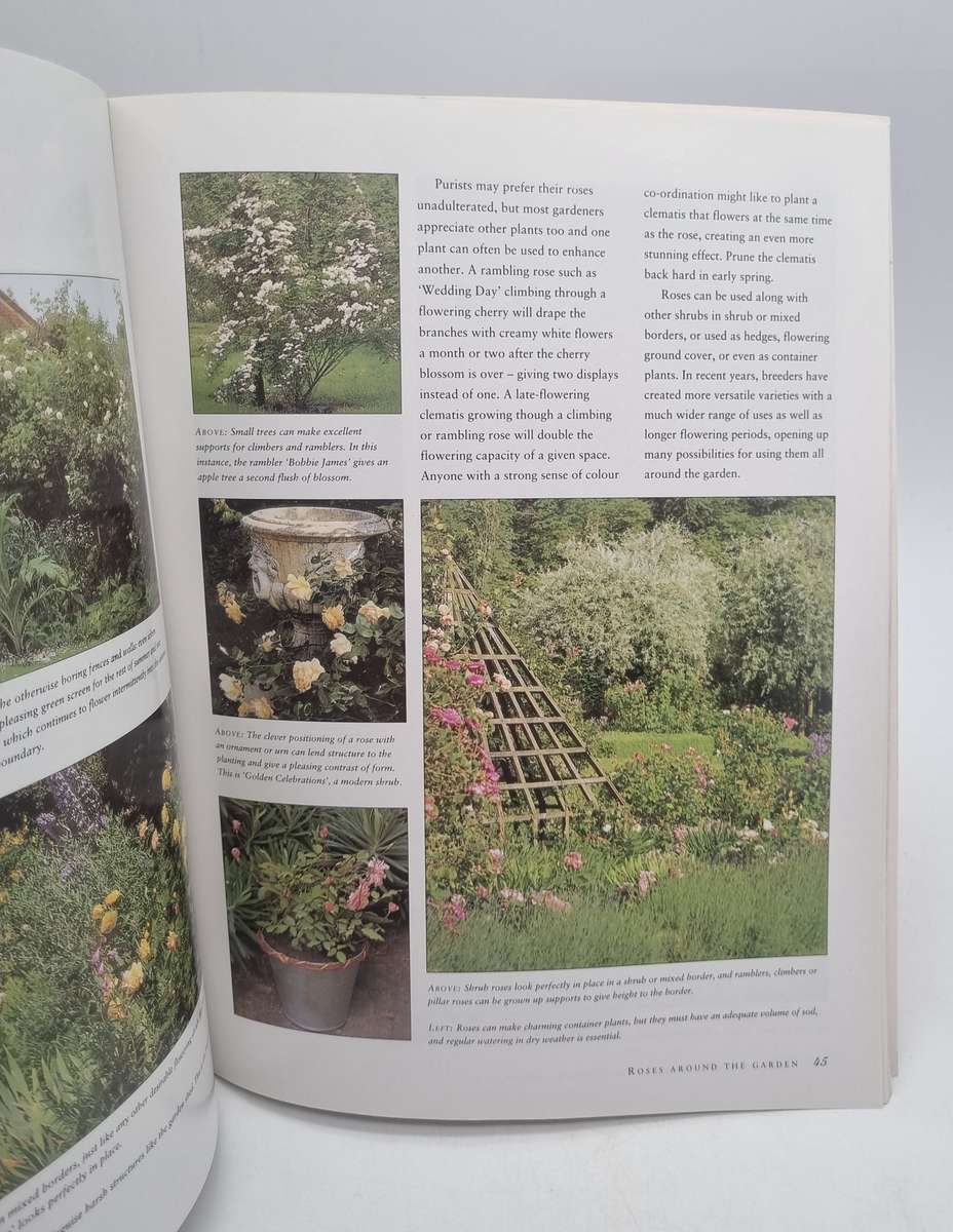 Successful Roses - Peter McHoy | A Gardener's Guide to Growing and Maintaining Roses