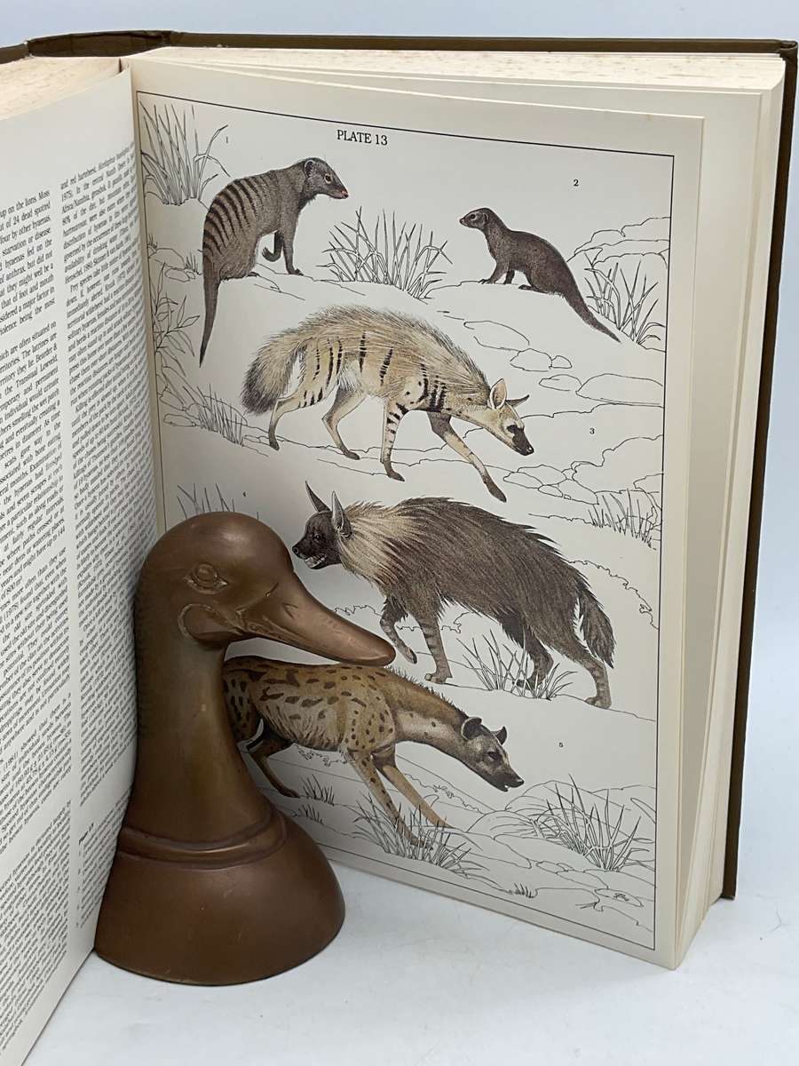 The Mammals of the Southern African Subregion by Reay Smithers | Signed Subscribers Edition