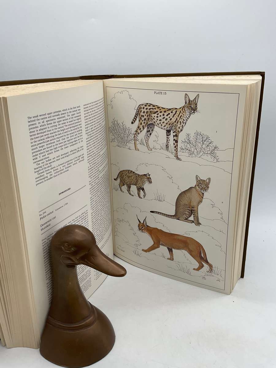 The Mammals of the Southern African Subregion by Reay Smithers | Signed Subscribers Edition