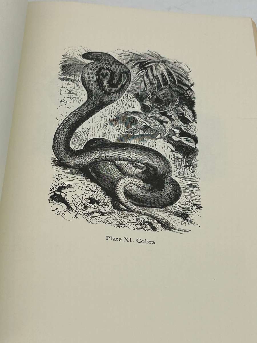 Charles Darwin ~ The Origin Of Species by Means of Natural Selection or ... | Large Format Hardcover