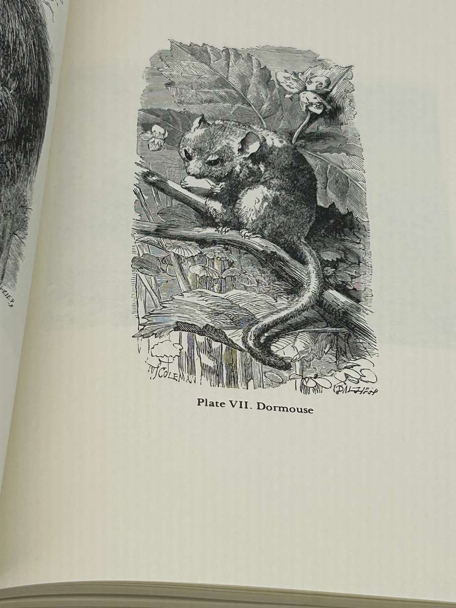 Charles Darwin ~ The Origin Of Species by Means of Natural Selection or ... | Large Format Hardcover