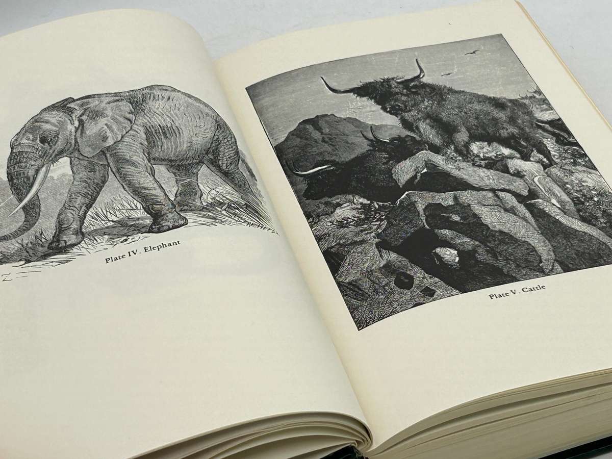 Charles Darwin ~ The Origin Of Species by Means of Natural Selection or ... | Large Format Hardcover