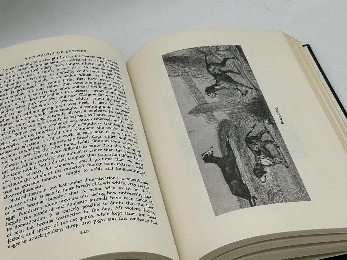 Charles Darwin ~ The Origin Of Species by Means of Natural Selection or ... | Large Format Hardcover