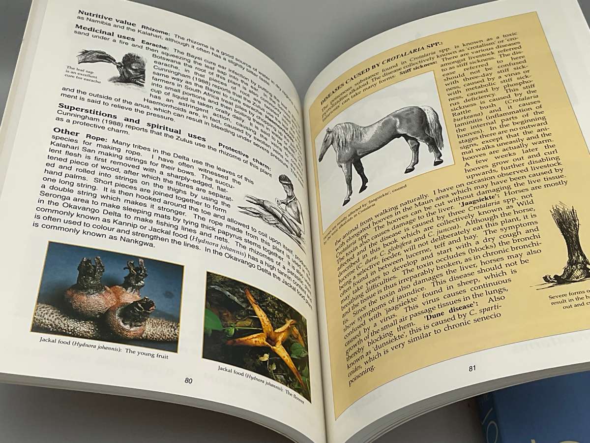 Common Wild Flowers of the Okavango Delta ~ Medicinal Uses and Nutritional Value