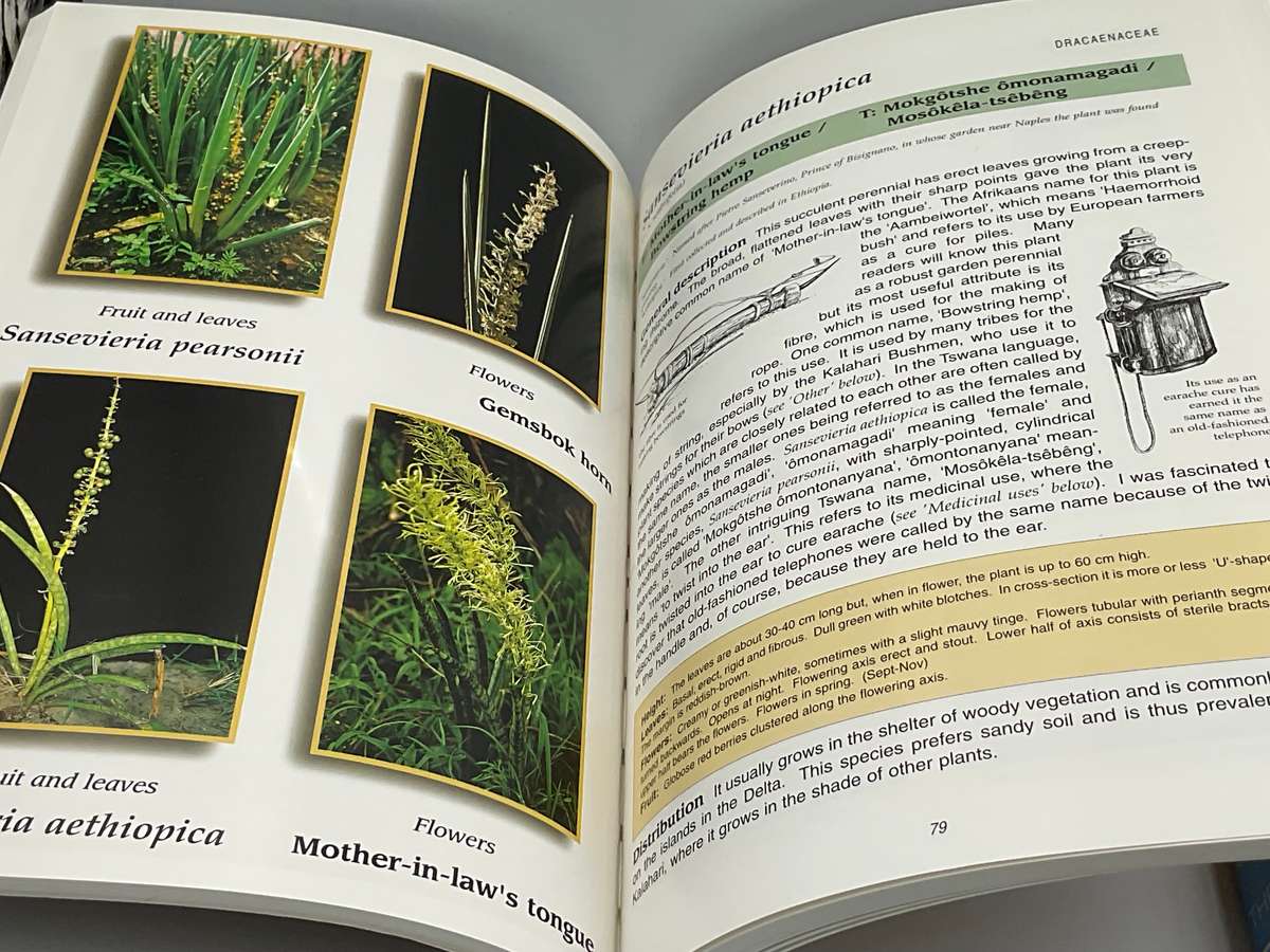 Common Wild Flowers of the Okavango Delta ~ Medicinal Uses and Nutritional Value