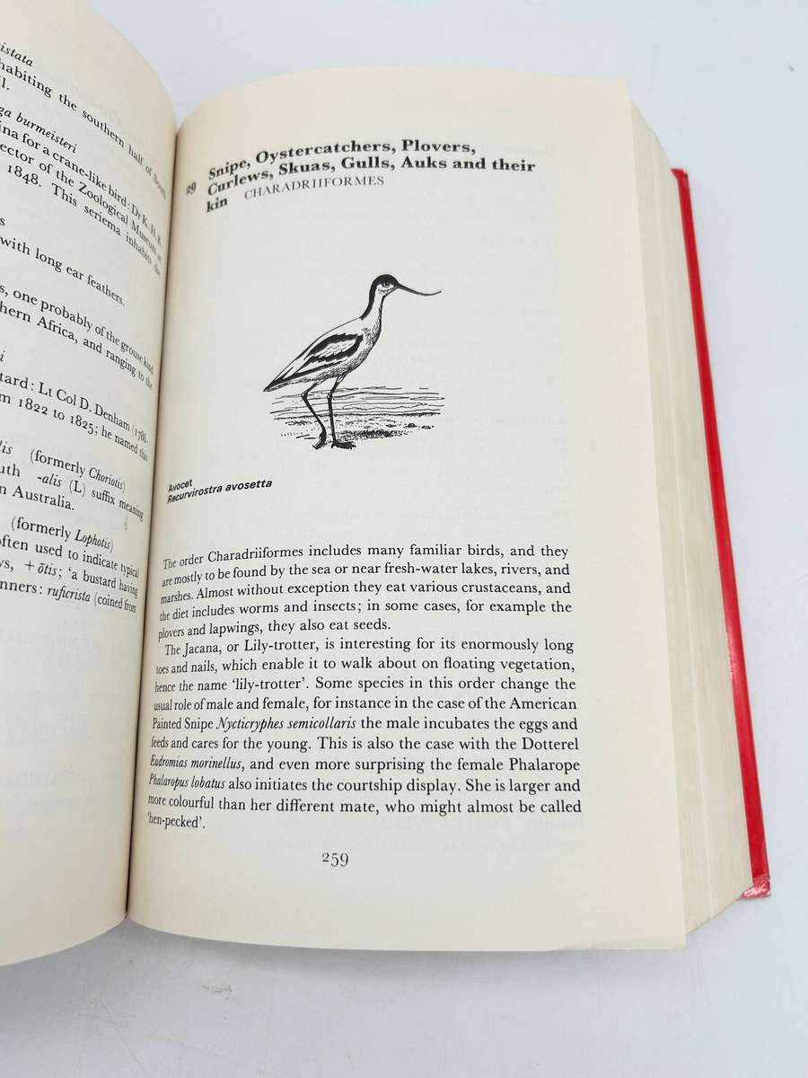 Latin Names Explained: A Guide to the Scientific Classification of Reptiles, Birds & Mammals - Gotch
