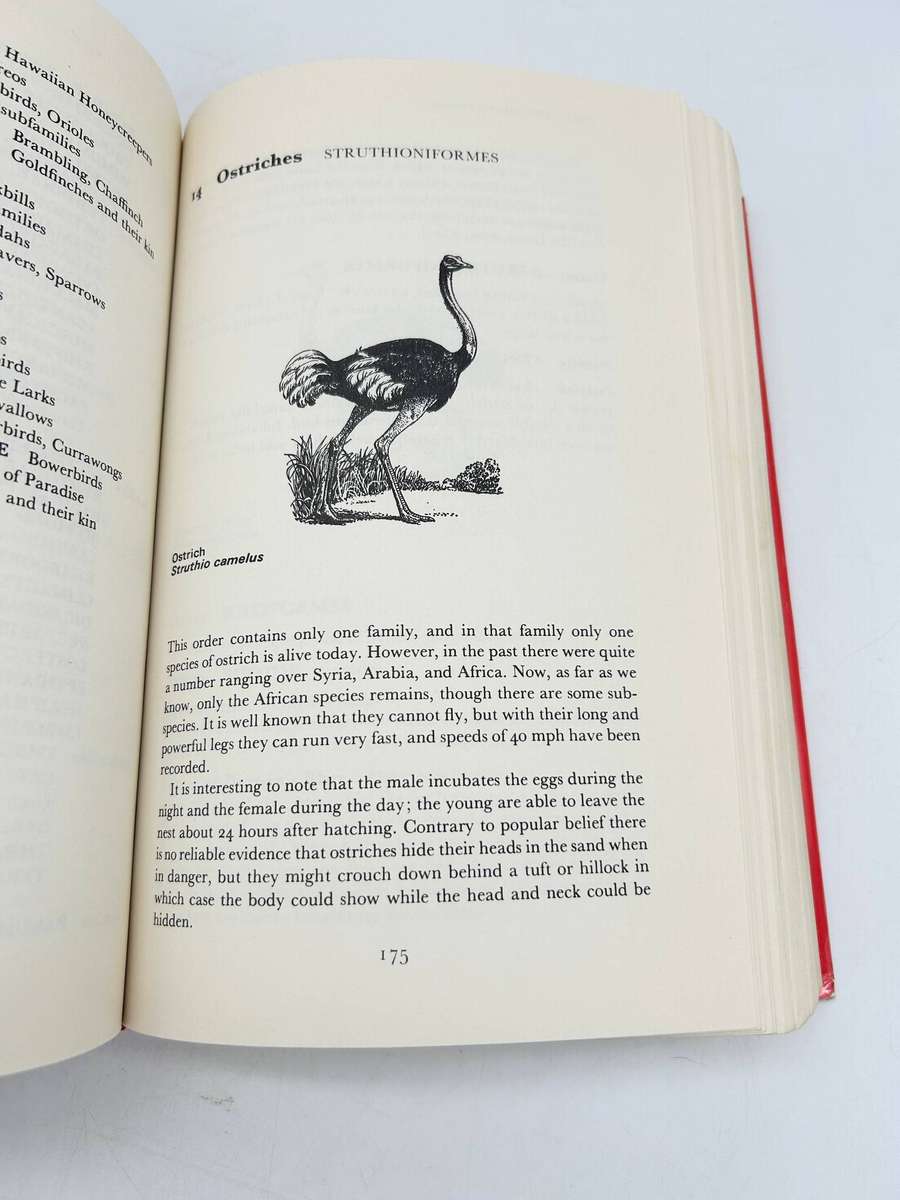Latin Names Explained: A Guide to the Scientific Classification of Reptiles, Birds & Mammals - Gotch
